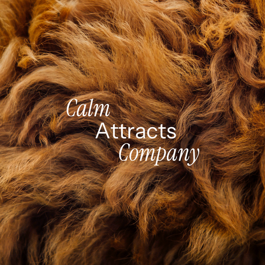 Why Pets Gravitate Toward Wellness Tools? (And What That Might Mean)