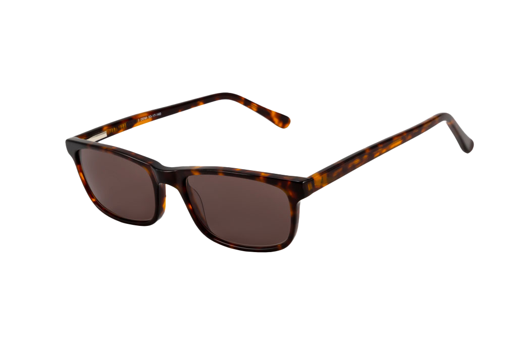 Tortoise Shell Sunglasses (Brown) Angled View