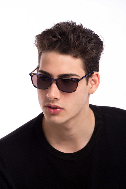 Galaxy Sunglasses Readers (Brown)