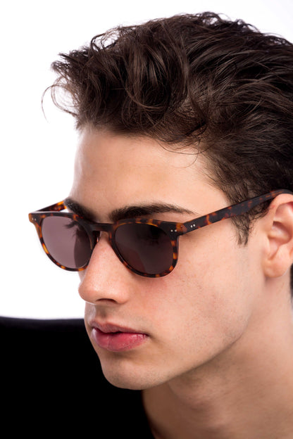 Clarke Sunglasses Readers (Brown)